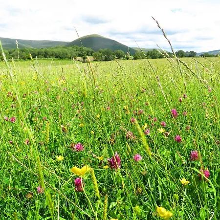 Shepherds View Dufton
