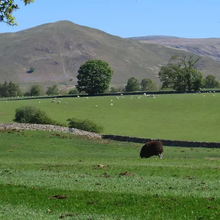 Shepherds View
